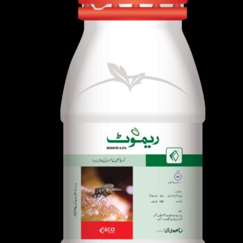 Remote Housefly Killer