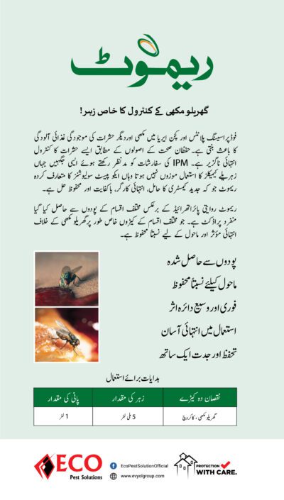 Remote 0.5%  Housefly Control Plant Oil Extract Insecticide - Image 3