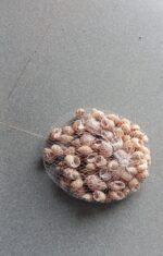 Natural Sea Snail Shells for Decoration – Pack of 500 Gram for Plants, Aquarium & Home Décor - Image 2