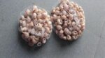 Natural Sea Snail Shells for Decoration – Pack of 500 Gram for Plants, Aquarium & Home Décor - Image 3