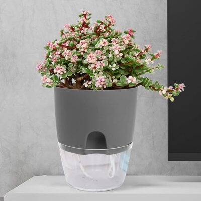 Automatic Self Watering Pot for Indoor Plants - Image 5