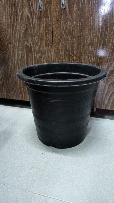 Black Plastic Pot 12 Inch