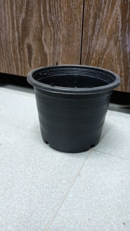 Black Pots 6x5 Inch