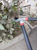 Heavy Duty Small Gear-Locking Garden Looper – Premium Branch Cutting Pruner - Image 5