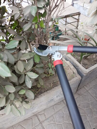 Heavy Duty Small Gear-Locking Garden Looper – Premium Branch Cutting Pruner - Image 5