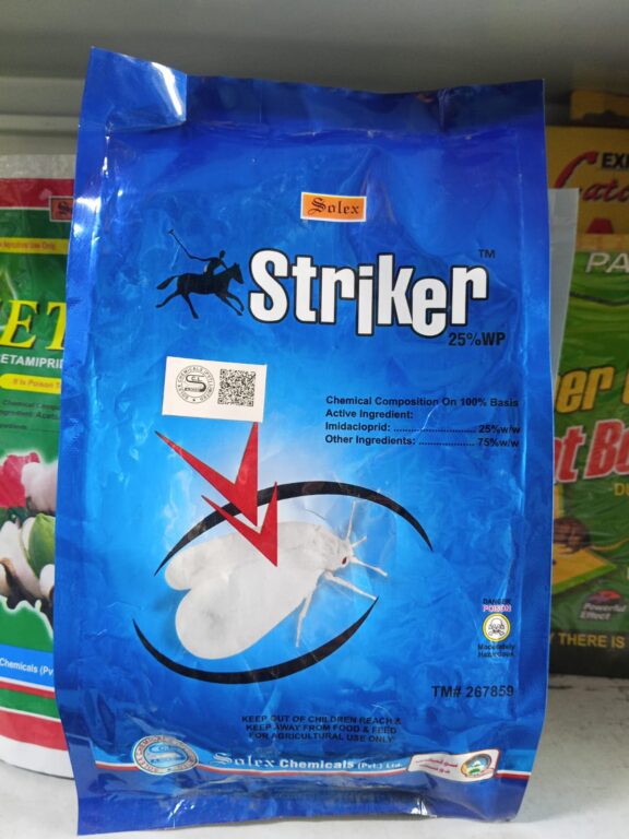 Stricker 25 WP