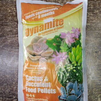 dynamite cactus succulent fertilizer