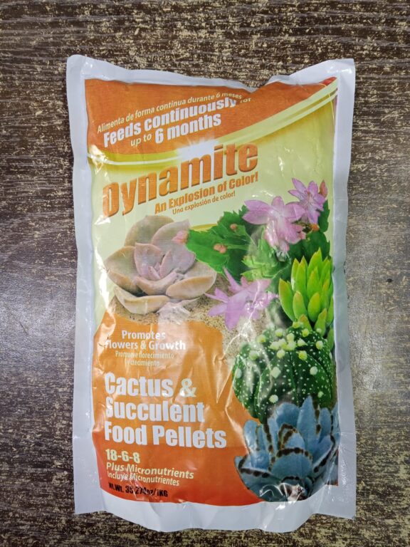 dynamite cactus succulent fertilizer