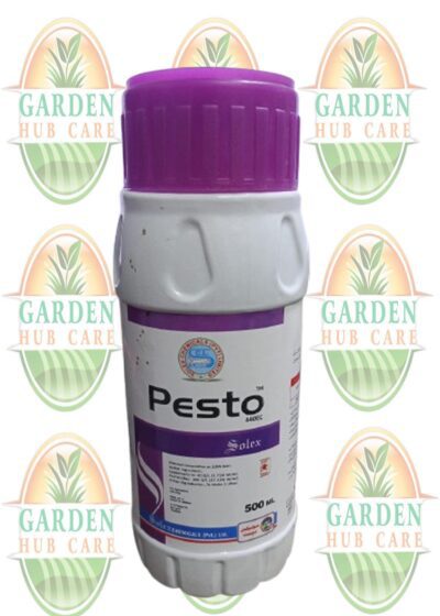 Insecticide for sucking and chewing insects