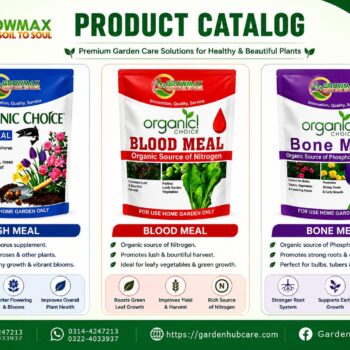 Organic Garden Combo Deal