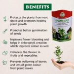 Epsom Salt Agricultural Grade – Magnesium & Sulphur Supplement for Plants - Image 4