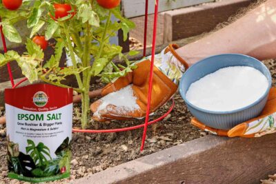 Epsom Salt Agricultural Grade – Magnesium & Sulphur Supplement for Plants - Image 3