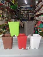 Square Tall Plastic Nursery Pots – 3x4 Inch Colorful Plant Pots for Indoor & Outdoor Gardening 5 Pcs Deal - Image 5