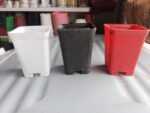 Square Tall Plastic Nursery Pots – 3x4 Inch Colorful Plant Pots for Indoor & Outdoor Gardening 5 Pcs Deal - Image 2