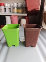 Square Tall Plastic Nursery Pots – 3x4 Inch Colorful Plant Pots for Indoor & Outdoor Gardening 5 Pcs Deal - Image 3