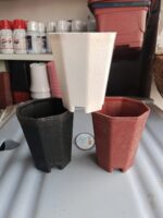 5 Pcs Octagonal Plastic Pots Deal – Colorful Nursery Pots for Indoor & Outdoor Plants - Image 2