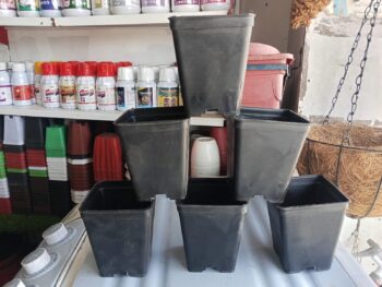 5 Pcs Square Black Pots 4x5 Inch