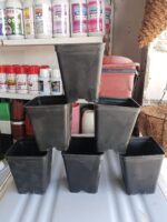5 Pcs Square Black Plastic Pots 4x5 Inch – Nursery Pots for Indoor & Outdoor Plants - Image 8