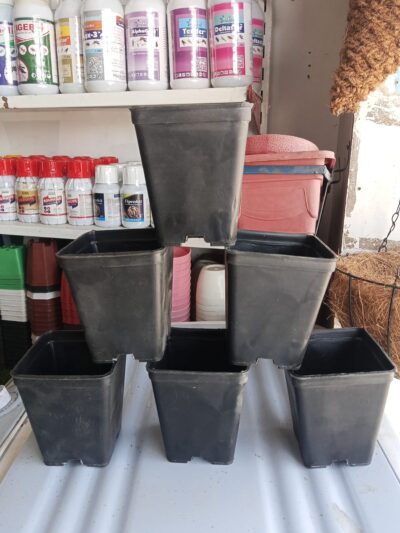 5 Pcs Square Black Plastic Pots 4x5 Inch – Nursery Pots for Indoor & Outdoor Plants - Image 8
