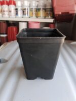5 Pcs Square Black Plastic Pots 4x5 Inch – Nursery Pots for Indoor & Outdoor Plants - Image 3