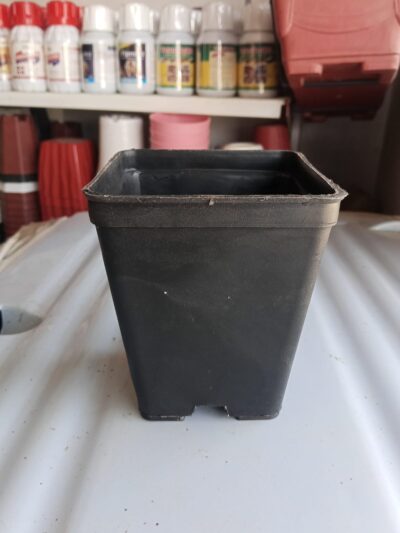5 Pcs Square Black Plastic Pots 4x5 Inch – Nursery Pots for Indoor & Outdoor Plants - Image 3
