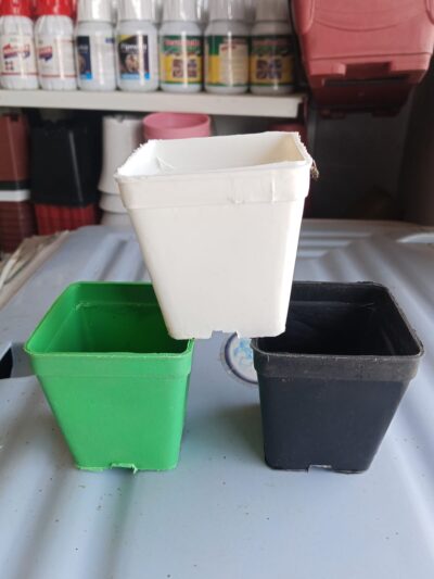 5 Pcs Round Plastic Pots 3x3 Inch – Colorful Nursery Pots for Indoor & Outdoor Plants - Image 4
