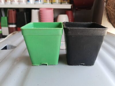 5 Pcs Round Plastic Pots 3x3 Inch – Colorful Nursery Pots for Indoor & Outdoor Plants - Image 2