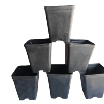 5 Pcs Square Black Pots 4x5 Inch