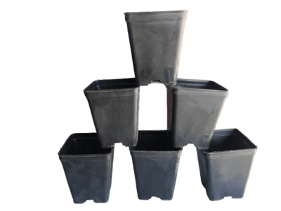 5 Pcs Square Black Pots 4x5 Inch