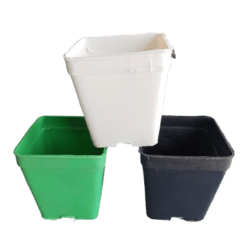 5 Pcs Round Plastic Pots 3x3 Inch