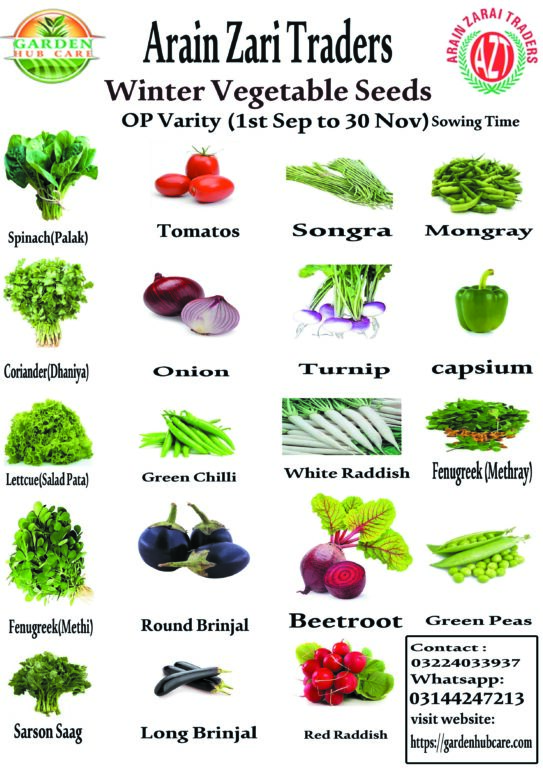 Winter Vegetable Seeds Combo