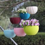 premium hanging basket deal pack