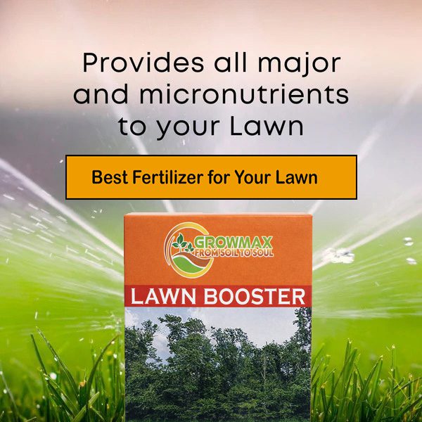 Lawn Booster Fertilizer