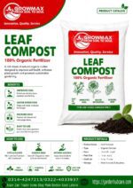 Organic Leaf Compost 10kg – 100% Natural Leaf Compost for Plants & Garden - Image 2