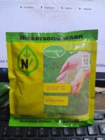 Nickerson-Zwaan Bermuda Grass Seeds 100g – Evergreen Lawn Grass Seed for 10 Square Meters - Image 5