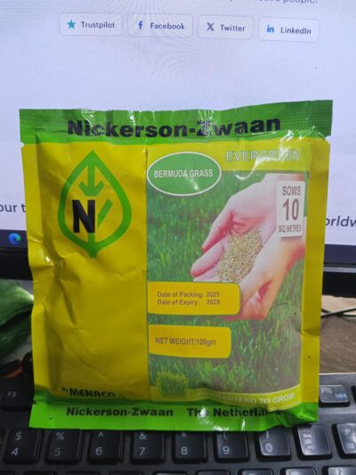 Nickerson-Zwaan Bermuda Grass Seeds 100g – Evergreen Lawn Grass Seed for 10 Square Meters - Image 5