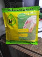 Nickerson-Zwaan Bermuda Grass Seeds 100g – Evergreen Lawn Grass Seed for 10 Square Meters - Image 4