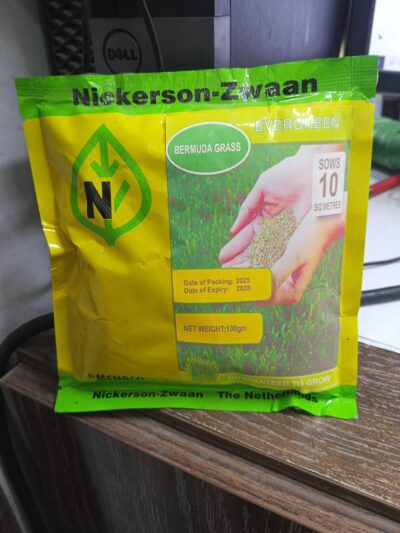 Nickerson-Zwaan Bermuda Grass Seeds 100g – Evergreen Lawn Grass Seed for 10 Square Meters - Image 4