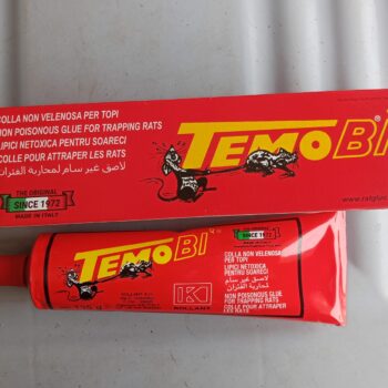 Temo Bi Rat Glue Tube