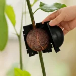 Reuseable Air Layering Black Cup for Plant Propagation & Rooting - Image 6