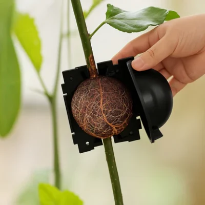 Reuseable Air Layering Black Cup for Plant Propagation & Rooting - Image 6